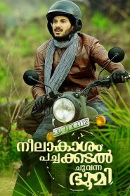 Neelakasham Pachakadal Chuvanna Bhoomi (2013) Hindi 720p HEVC – 480p Download & Online Watch