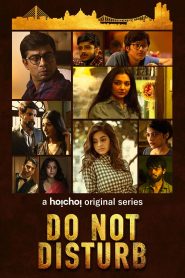 Do Not Disturb (2018) S01 Hindi WEB-DL 720p – 480p Download & Online Watch