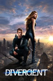 Divergent (2014) Hindi Dubbed WEB-DL 1080p – 720p – 480p Download & Online Watch