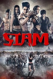 Siam Yuth The Dawn of the Kingdom (2015) Dual Audio [Hindi-German] BluRay 1080p – 720p – 480p Download & Online Watch
